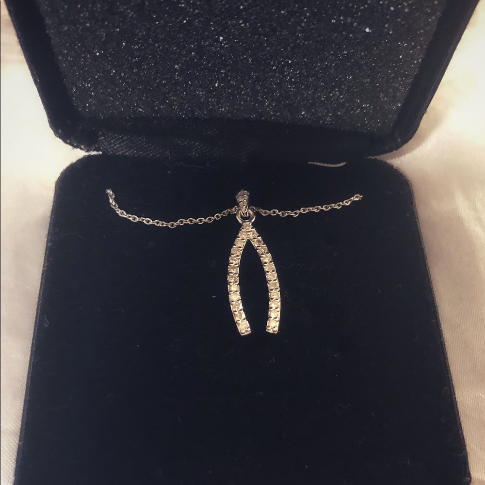 Silver Wishbone Necklace